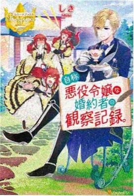 星屑归途 动漫番剧下载封面